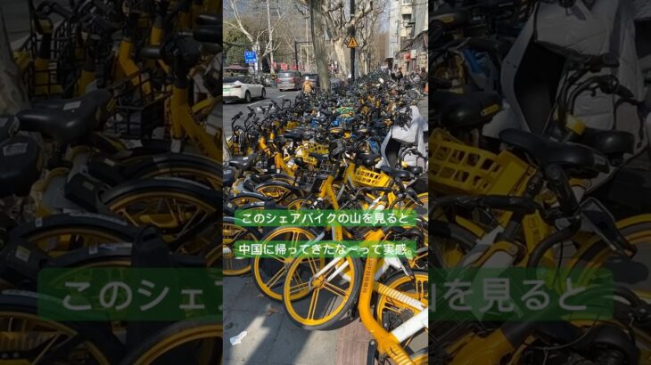 中国駐在員の糖尿病激闘日記　No370 #中国 #中国駐在 #上海 #自転車#シェアバイク