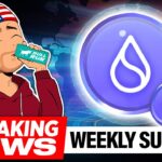 SUI Half Billion Blastoff! Suilend Launch, FUD Seeks Builders & NFT Mania! | Trevin Vs NFT