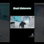 SharkLife: NFT акулы с характером и эволюцией / Metaverse Sharks