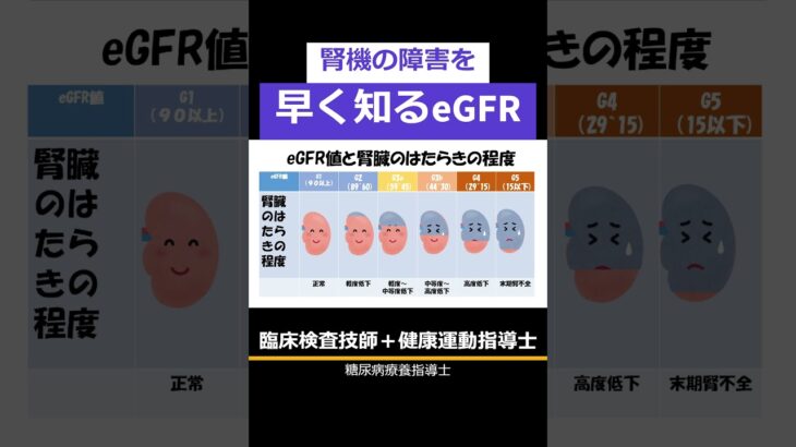 腎機能傷害を早く知るeGFR  #健康 #運動  #健康 #健康 ＃糖尿病＃高血圧症　＃脂質異常症＃肥満＃喫煙