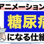 【糖尿病になる仕組み】やってはいけない生活習慣と効果的な予防法とは