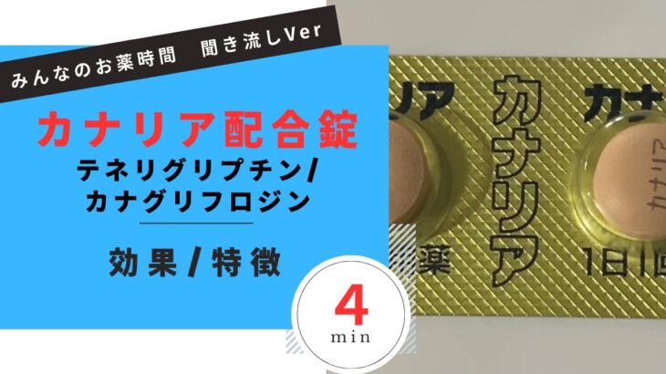 【糖尿病】カナリア配合錠/テネリグリプチン、カナグリフロジンの解説【一般の方向け】【約４分で分かる】【みんなのお薬時間】【聞き流し】