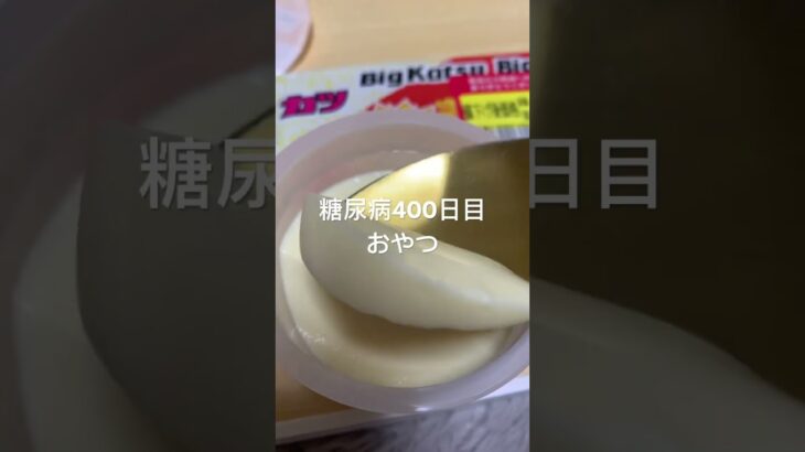 プリンと10円ビッグカツ食べる糖尿病　心筋梗塞手術後400日目　おやつ　#糖尿病の品格 #糖尿病 #vlog #日常 #糖質制限 #心筋梗塞 #食事 #血糖値 #生活習慣病 糖質制限　血糖値スパイク