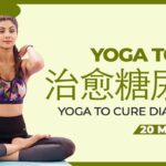 20 Mins  – Yoga to 治愈糖尿病 | Shilpa Shetty – 宝莱坞女演员 | 适合所有人的瑜伽