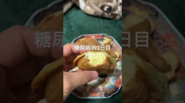 カスタードクリーム鯛焼きを食べる糖尿病　心筋梗塞手術後392日目　おやつ　#糖尿病の品格 #糖尿病 #糖尿のグルメ #血糖値 #糖質制限 #心筋梗塞 #日常 #vlog #食事 #たいやき 糖質制限