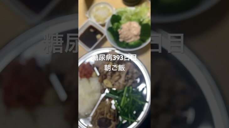 韓国な気分なものを食べる糖尿病　心筋梗塞手術後393日目朝ご飯　#糖尿病の品格 #糖尿病 #糖尿のグルメ #血糖値 #糖質制限 #心筋梗塞 #vlog #日常 #食事 糖質制限　血糖値