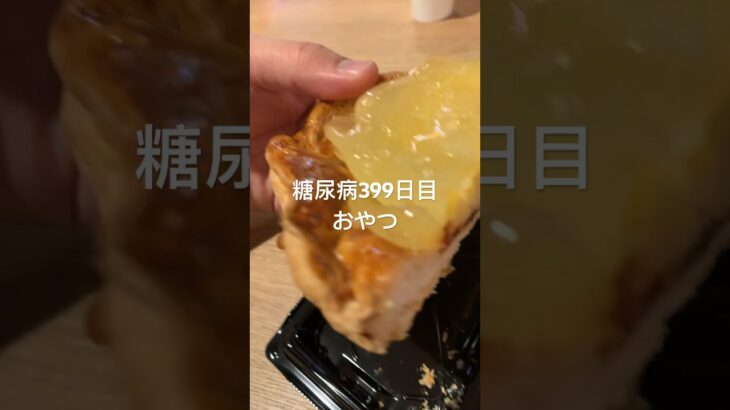 アップルパイ馬鹿みたいに美味しかった糖尿病　心筋梗塞手術後399日目おやつ　#糖尿病 #vlog #日常 #食事 #糖質制限 #心筋梗塞 #血糖値 #糖尿病の品格 #生活習慣病 糖質制限　血糖値