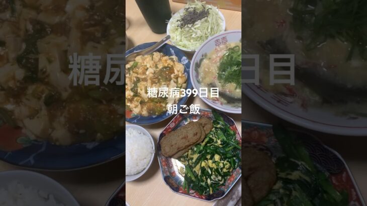 蟹味噌汁じゃこ天ニラ玉麻婆豆腐定食を食べる糖尿病　心筋梗塞手術後399日目　朝ご飯　#糖尿病 #vlog #日常 #食事 #糖質制限 #心筋梗塞 #血糖値 #麻婆豆腐 糖質制限　血糖値スパイク　腎臓