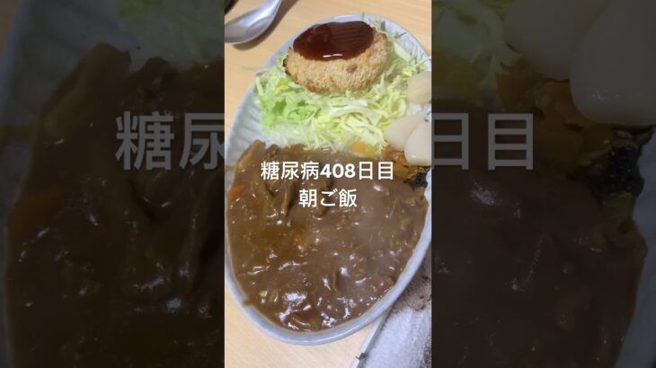 金沢タイプのカレーライスがたまに食べたくなる糖尿病　心筋梗塞手術後408日目　朝ご飯　#糖尿病の品格 #糖尿病 #糖質制限 #心筋梗塞 #生活習慣病 #動脈硬化 #血糖値 #vlog #日常 糖質制限