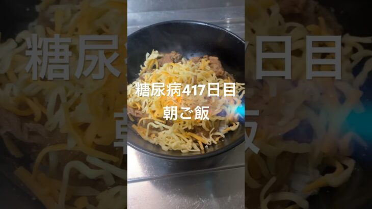 朝から炙りチーズ豚丼作って食べる糖尿病417日目の食事 合併症で心筋梗塞 #糖尿病の品格 #糖尿病 #糖質制限 #日常 #vlog #血糖値 #心筋梗塞 #生活習慣病 糖質制限　血糖値スパイク　腎臓