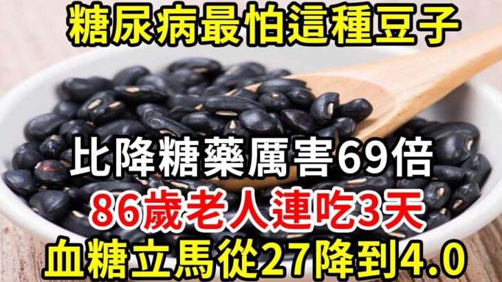 糖尿病最怕這種豆子，比降糖藥厲害69倍，86歲老人連吃3天！從此血糖再沒昇高過！你家樓下就有的賣【養生驛站】