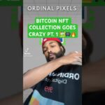 Bitcoin NFT Collection goes crazy Pt. 1 🖼️👾🔥 #bitcoin #crypto #nft