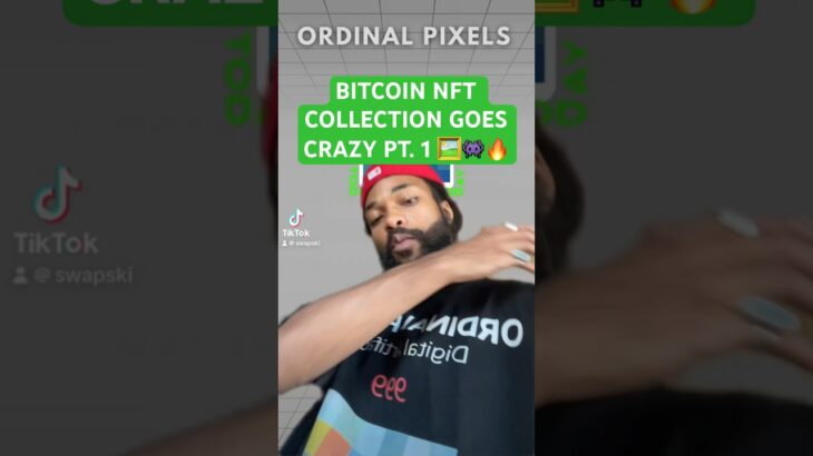 Bitcoin NFT Collection goes crazy Pt. 1 🖼️👾🔥 #bitcoin #crypto #nft