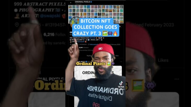 Bitcoin NFT collection goes crazy Pt. 3 🖼️👾🔥 #bitcoin #crypto #nft