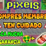 🚨🚫CUIDADO CON LAS MEMBRESIAS 🚫 | ESTRATEGIA GANAR MUCHO GOLD | PIXELS NFT GAME 2024