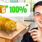EL NUEVO MEMECOIN LOAF CAT con JUEGO NFT + NFT para MINTEAR + $1400 USDT SORTEO ✅ Criptomonedas hoy