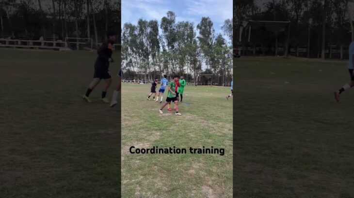 Football coordination training #guitar #music #rock #nft #aiff #fifa #fifaworldcup #fifa19 #fit #ai