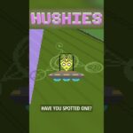 Hushies #196 #nft