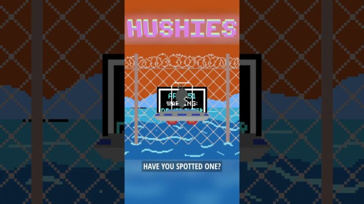 Hushies #212 #nft