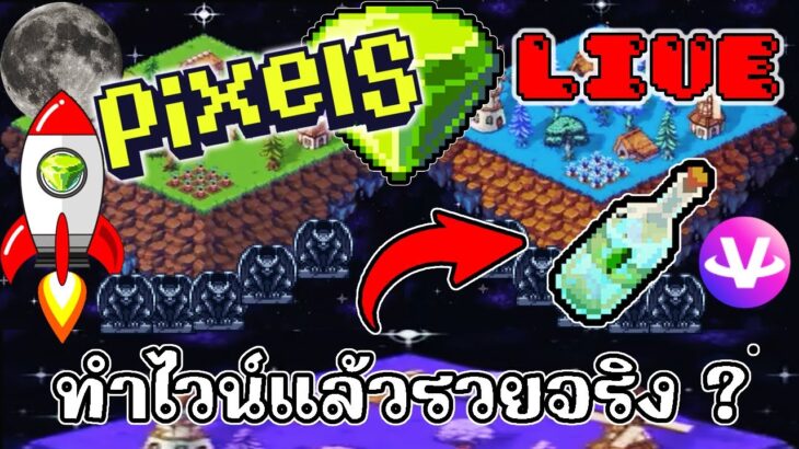 [ LIVE ] Pixel + Carrieverse ( NFT ) : เล่นมา 3เดือน ได้อะไรมาบ้าง? EP.100