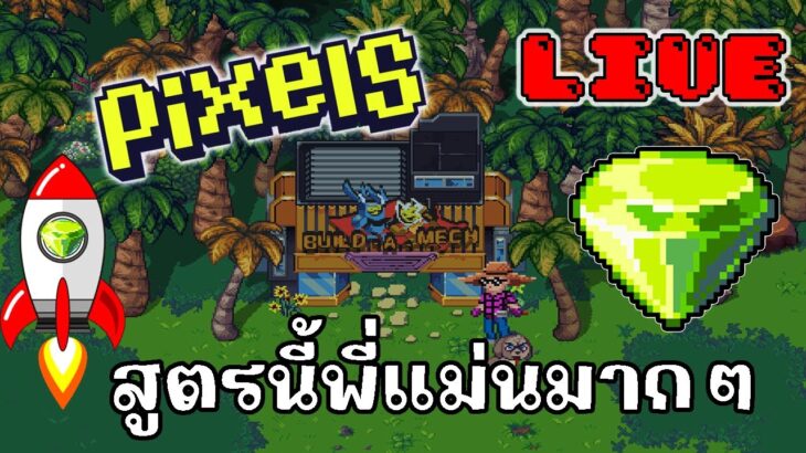 [ LIVE ] Pixel (Game NFT ) : กลับมาแล้ว EP.89