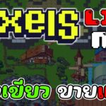 [ LIVE ] Pixels (Game NFT ) : ฟักทองม่วงแพงๆ EP.72