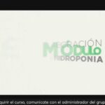 MasterClass: SISTEMA HIDROPONICO NFT