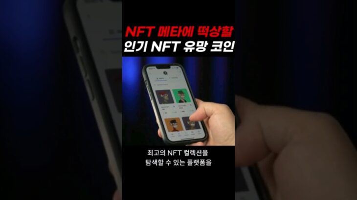 NFT 메타에 떡상할 인기 NFT 유망 코인