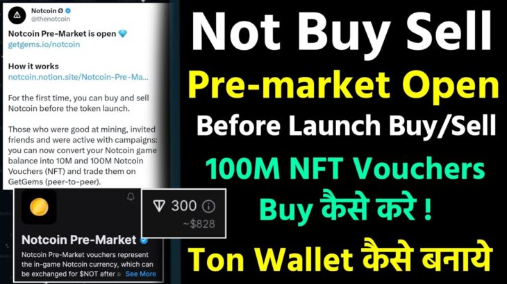 Not Token Buy/Sell Before Launch & Not Nft Vouchers कैसे Buy करे || Ton Wallet Create कैसे करे