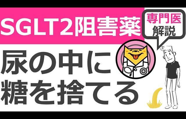 糖尿病以外にも使える！尿の中に糖を捨てるSGLT2阻害薬