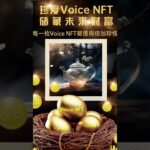 珍爱Voice NFT储藏未来财富每一枚Voice NFT都值得倍加珍惜#谢章#第五城#