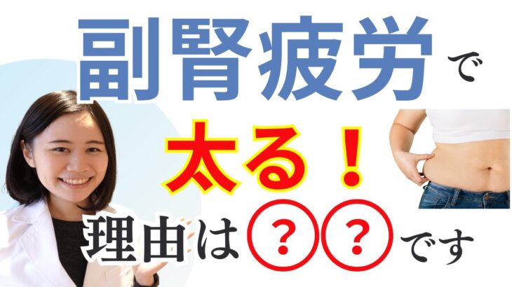 【衝撃】副腎疲労で太る理由・糖尿病予備軍になるのはなぜ？【高血糖と低血糖】