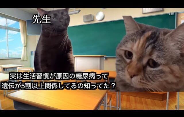 猫ずんだもんと学ぶ 糖尿病の偏見と勘違い