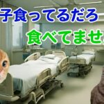 隠れ食いする糖尿病患者と格闘する糖尿病内科医の日常【猫ミーム】