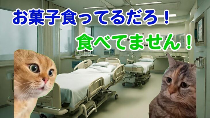 隠れ食いする糖尿病患者と格闘する糖尿病内科医の日常【猫ミーム】