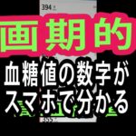 第1回　私は糖尿病です。17年前から糖尿に成り色んなサプリや薬を飲んで来ましたが効いているのかどうかわからず2，3ｹ月でやめていました。このリブレという測定器は優れものです。今日から毎日結果を掲載する