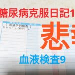 糖尿病克服日記17　悲報　血液検査9