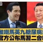 陳柏惟嘲馬英九糖尿病患者？大陸官方公布馬習二會吹了？ 新聞大白話  20240406