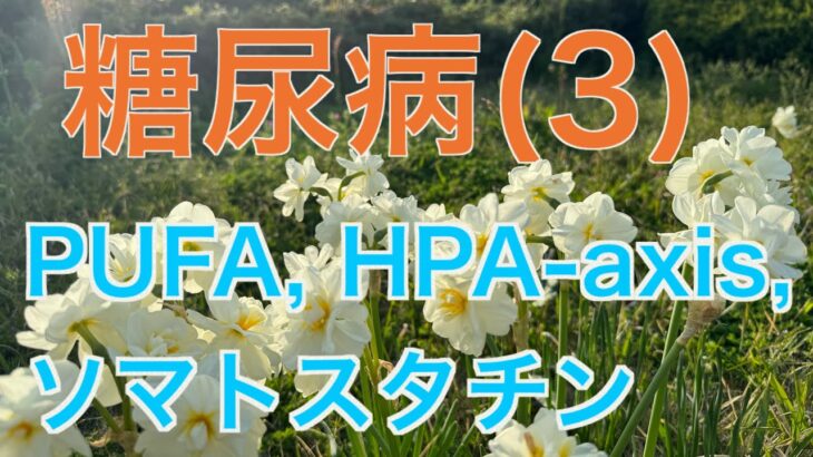 糖尿病(3)根本原因にアクセスするまとめ！PUFA, HPA-axis, ソマトスタチン