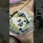 牛丼セット食べる糖尿病　心筋梗塞手術後433日目朝ご飯　#糖尿病の品格 #糖尿病 #糖質制限 #血糖値 #心筋梗塞 #日常 #vlog #血糖値 #糖質 #糖尿 糖質制限　血糖値