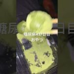 高エンゲルなもの程安い　蓬餅食べる糖尿病　心筋梗塞手術後437日目おやつ　#糖尿病の品格 #糖尿病 #糖質制限 #血糖値 #心筋梗塞 #日常 #vlog #糖尿 #生活習慣病  糖質制限　血糖値