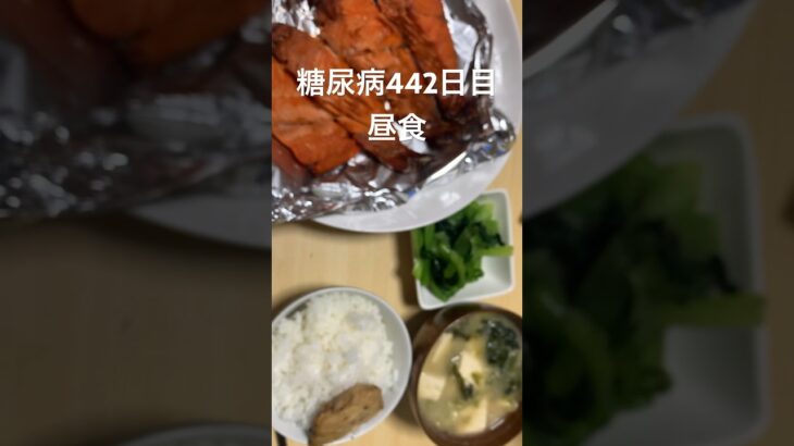 しゃけしゃけしゃけしゃけ定食を食べる糖尿病　心筋梗塞手術後442日目昼食 #糖尿病の品格 #糖尿病 #糖質制限 #血糖値 #心筋梗塞 #日常 #vlog #糖尿 #生活習慣病  糖質制限　血糖値