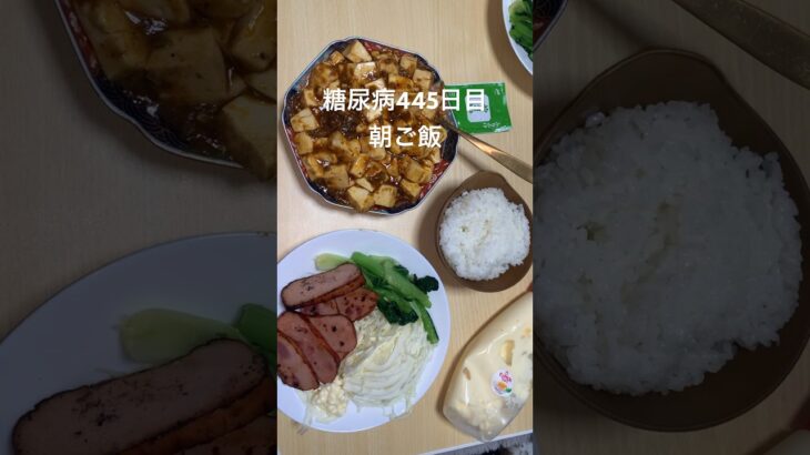 麻婆豆腐と焼豚定食を食べる糖尿病　心筋梗塞手術後445日目朝ご飯　#糖尿病の品格 #糖尿病 #糖質制限 #血糖値 #心筋梗塞 #日常 #vlog #糖尿 #生活習慣病  糖質制限　血糖値