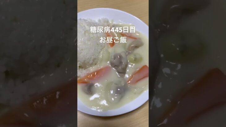 シチューライス食べる糖尿病心筋梗塞手術後445日目お昼ご飯　#糖尿病の品格 #糖尿病 #糖質制限 #血糖値 #心筋梗塞 #日常 #vlog #糖尿 #生活習慣病  糖質制限　血糖値　#シチュー