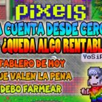 CAP13 RENTABILIDAD ACTUAL PARA FREE TO PLAY | PIXELS NFT GAME 2024