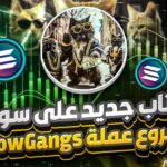 اكتتاب جديد على سولانا HOT🔥 1 ومشروع NFT مشروع عملة MeowGangs