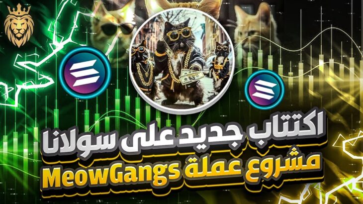 اكتتاب جديد على سولانا HOT🔥 1 ومشروع NFT مشروع عملة MeowGangs