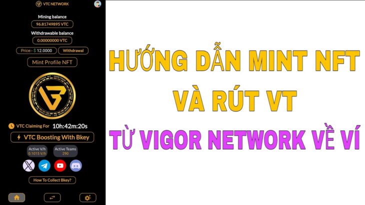 HƯỚNG DẪN MINT NFT VÀ RÚT VT TỪ VIGOR NETWORK VỀ VÍ