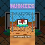 Hushies #554 #nft