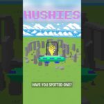 Hushies #695 #nft